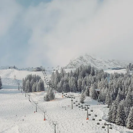 Guest house Sandbur Walserhaus 3*