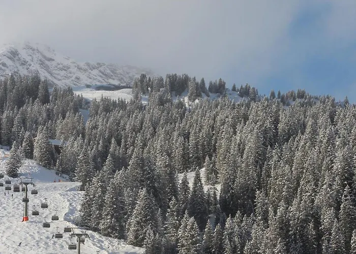 Sandbur Walserhaus בית הארחה לך אם ארלברג